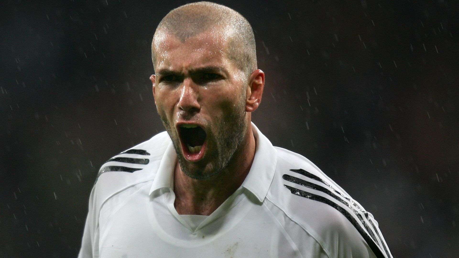 本届世界杯 本届世界杯